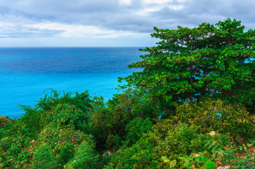 Wall Mural - glorious view natural wild landscape with rocky mountains overgrown dense green jungle tree, palm and clear azure water of sea ocean