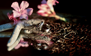 Wedding rings, jewelry and symbols attributes taken with selective focus with gifts of the sea. Holiday, celebration. Macro. Blur. Starfish, coral and bridal bouquet on background