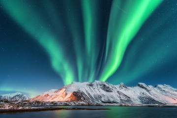 Wall Mural - aurora borealis. lofoten islands, norway. aurora. green northern lights. starry sky with polar light