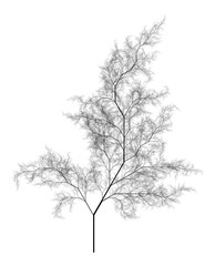 Wall Mural - flat computer generated self-similar l-system branching tree fractal - generative art