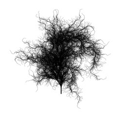 Wall Mural - flat computer generated self-similar l-system branching tree fractal - generative art