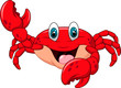 Cartoon happy crab isolated on white background