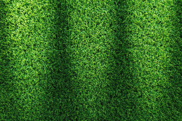 Grass field texture for golf course, soccer field or sports background concept design. Artificial grass.