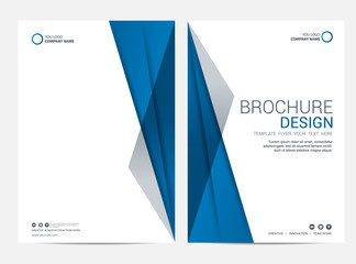 Wall Mural - brochure template flyer design vector background