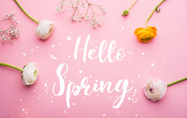 Wall Mural - Hello spring phrase and flowers flat lay on a pink bacground.