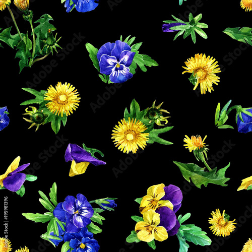 bezszwowy-wzor-dandelion-fiolki-i-kwiaty-malujacy-w-akwareli