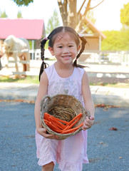 Wall Mural - Adorable little asian girl holding a basket with sliced carrots outdoors in the farms. Vegetable for feeding horse.