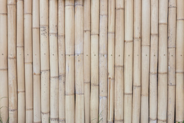  Bamboo cover background