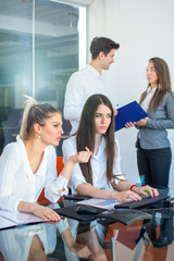 Wall Mural - Group of business people working in the office.