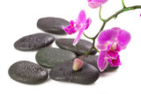 Fototapeta Storczyk - zen stone and orchid. spa concept