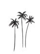 Palm trees black and white illustration