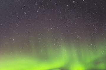 Wall Mural - starry sky at night and green northern lights. abstract background