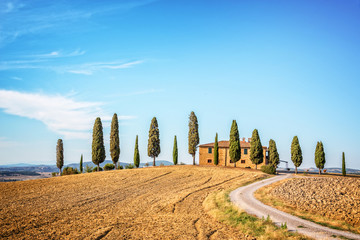 Wall Mural - beautiful typical landscape of val d'orcia in tuscany, italy