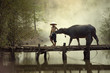Thai farmer man with buffalo walking on the bridge for going  to field.
