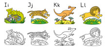 Animals Alphabet Or ABC. Coloring Book