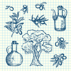 Wall Mural - Vector hand drawn olive branches, bottles and tree on cell sheet