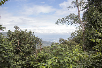 View from Chiang Mai zoo