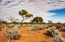 The Australian Desert, The Outback