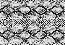 Snake Skin Pattern Texture Repeating Seamless Monochrome Black & White. Vector. Texture Snake. Fashionable Print. Fashion And Stylish Background.