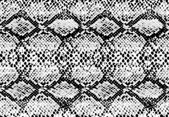 Snake skin pattern texture repeating seamless monochrome black & white. Vector. Texture snake. Fashionable print. Fashion and stylish background.