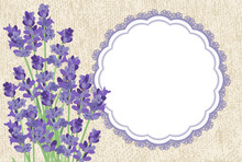 Lavender. Background With Lavender Flowers, The Texture Of The Canvas And Lace Border.