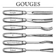 gouge types set