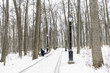 © YuSafa - Man - elderly pensioner, sits on a park bench in the winter. High trees, a lantern.