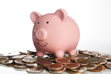 Wall Mural - Pink piggy bank standing on coins money isolated on white background, suggesting money savings concept