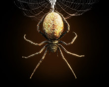 Abstract Closeup Of A Huge Spider Dangling From Its Web . 3d Rendering