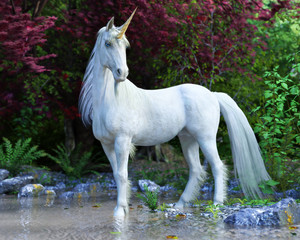 Naklejka majestic unicorn posing in an enchanted forest
