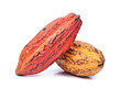 © nakornchaiyajina - Fresh cacao pods isolated on a white background