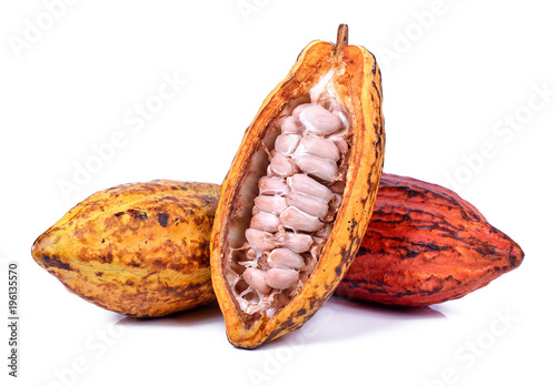 Fotografía Fresh cacao pods isolated on a white background