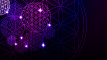 Glowing Flower Of Life