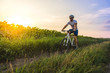 © sergo321 - male cyclist riding a bicycle between fields in summer at sunset