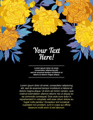 Hand Drawn frame for text with peony flowers and herbs vintage floral elements. Yellow and blue decore on Black background