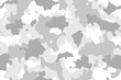 Camouflage seamless pattern. Trendy winter camo, repeat print. Vector illustration.