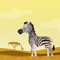 Wall Mural - zebra in the savannah