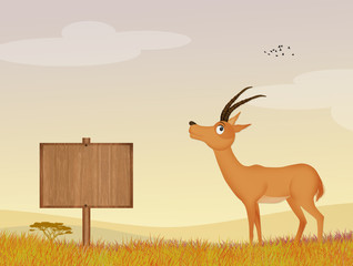 Sticker - illustration of antelope in the jungle