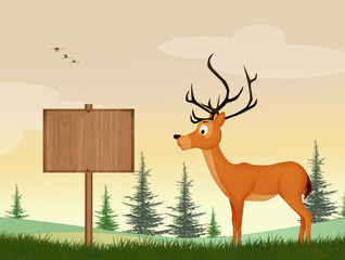 Poster - illustration of deer in the forest