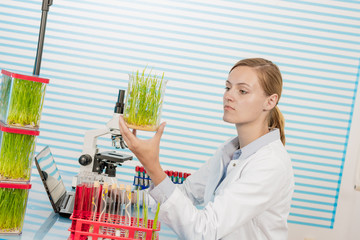 Sticker - scientist with green plant in modern laboratory. woman study of genetic modified GMO plants in the laboratory