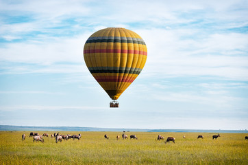 hot air balloon over the masai mara - kenya