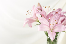 Beautiful Pink Lily  In Glass Vase On White Fabric