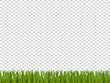 Green realistic grass  border on transparent background.