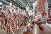 Meat Industry
