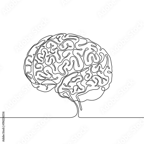 continuous line drawing of a human brain with gyri and sulci gyri