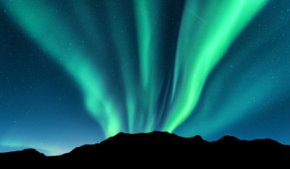 Wall Mural - Aurora and silhouette of mountains. Lofoten islands, Norway. Aurora borealis. Green northern lights. Sky with stars and polar lights. Night landscape with beautiful aurora, blue sky. Nature background