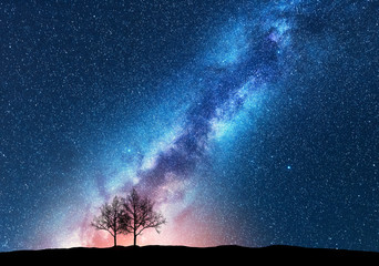 Wall Mural - trees against starry sky with milky way. space background. night landscape with alone trees on the h