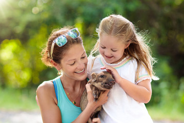 Kids and farm animals. Child with baby pig at zoo.