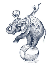 Circus Elephant. African Wild Animal On The Ball. Show At The Zoo. Engraved Sketch Hand Drawn In Vintage Style.