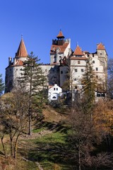 Wall Mural - Medieval Bran castle. Brasov Transylvania, Romania